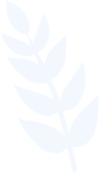 Leaf 2 e1744282707104.png